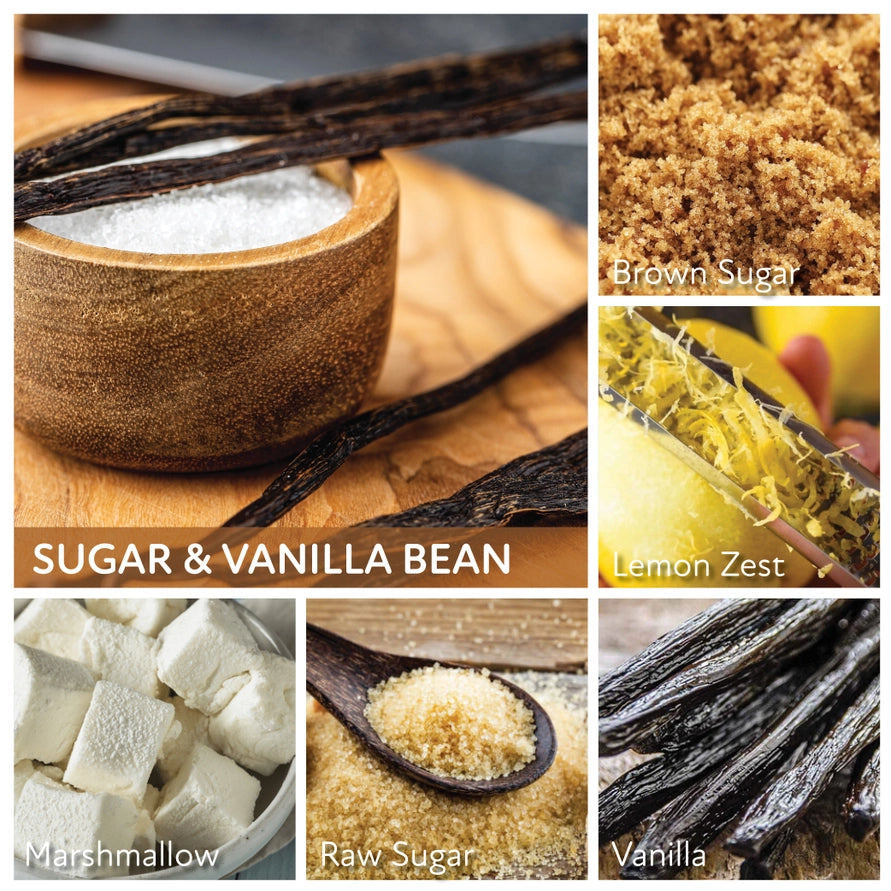 Sugar & Vanilla Bean 34oz Candle